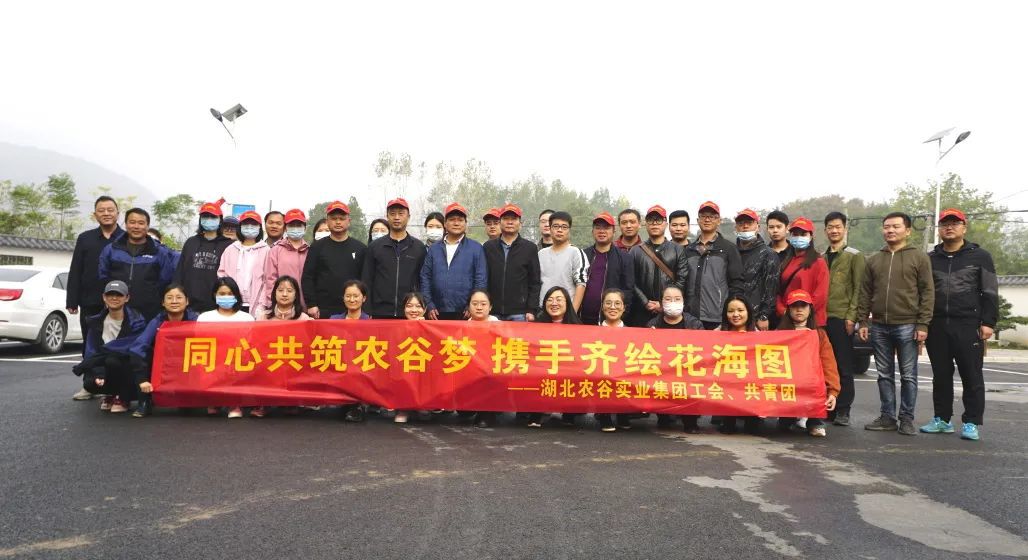 同心共筑農谷夢 攜手齊繪花海圖